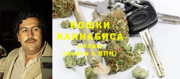 прущий лед Рославль